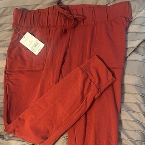 Isabel Maternity by Ingrid & Isabel Red Pants